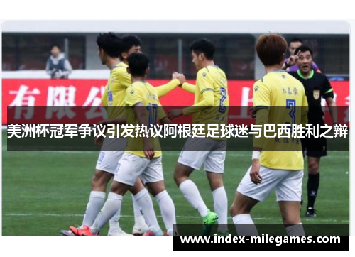 美洲杯冠军争议引发热议阿根廷足球迷与巴西胜利之辩