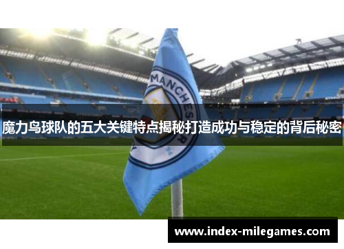 魔力鸟球队的五大关键特点揭秘打造成功与稳定的背后秘密
