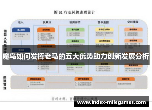 魔鸟如何发挥老马的五大优势助力创新发展分析